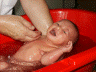 2005 05 09 Ruby's First Bath.
