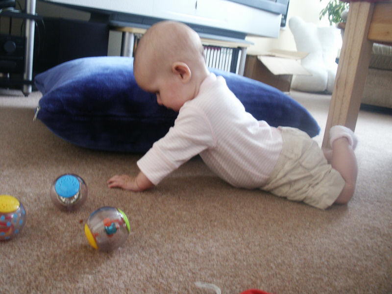 2005 09 11 ...And she can get her head up, but she cant do both together yet.
