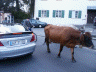 2005 10 06 Garmish Traffic Jam