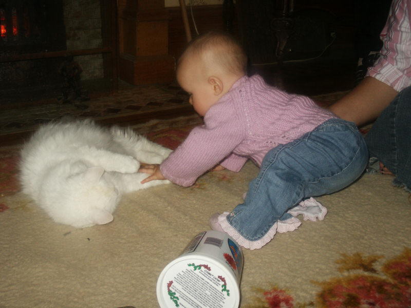 2006 01 02 Ruby checks out feline Max