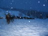 2006 02 08 Horse Drawn Carriages - Norwary