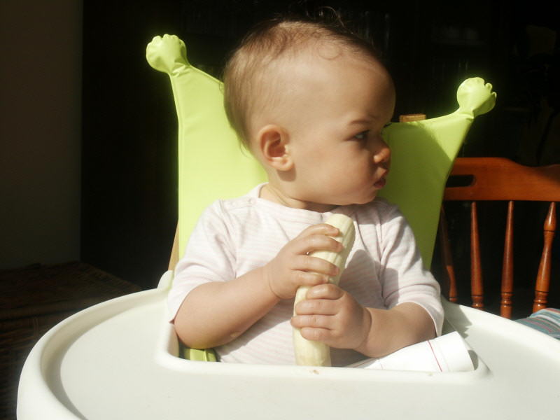 2006 04 07 Ruby loves bananas 2