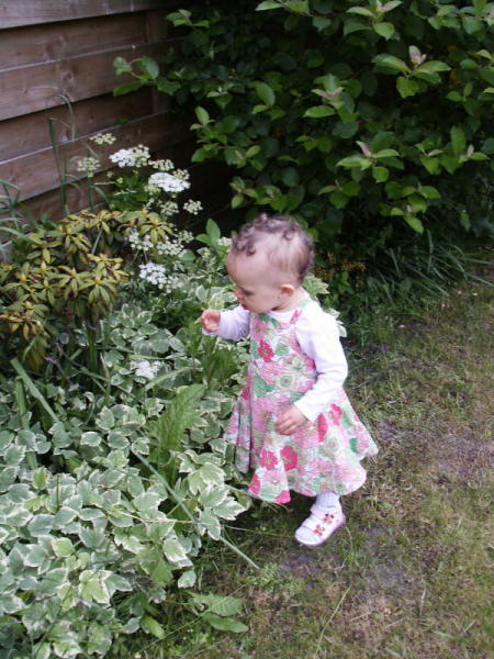 2006 06 06 garden girl 5
