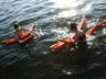 2006 07 15 cottage - noodlers