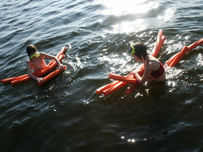 2006 07 15 cottage - noodlers