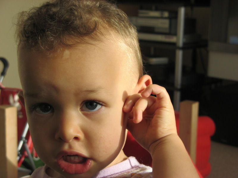 2006 11 12 Ear