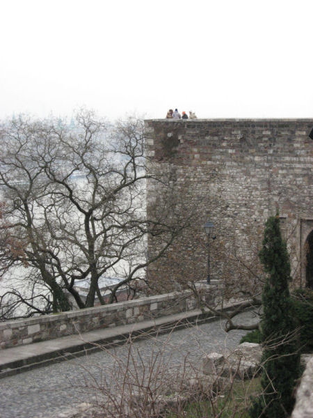 2007 02 19 Budapest 15 Royal Wall and Tree