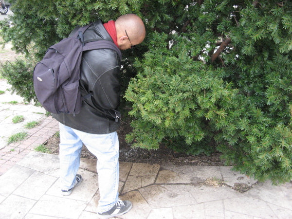 2007 02 19 Budapest 35 Foreign Shrub Inspector doing his Duties