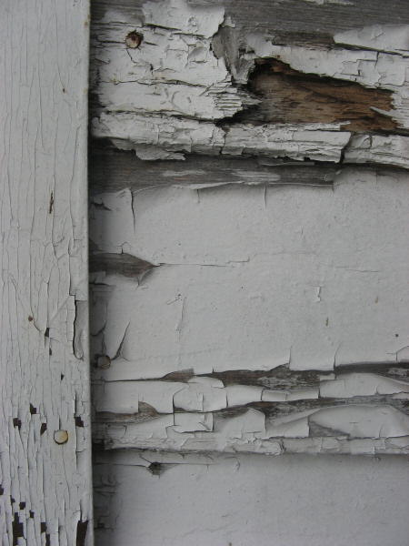 2007 07 19 Peeling Boathouse Wall 1