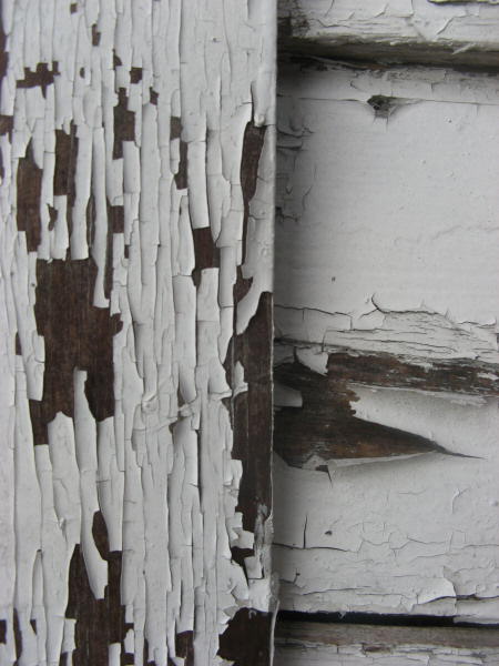 2007 07 19 Peeling Boathouse Wall 2
