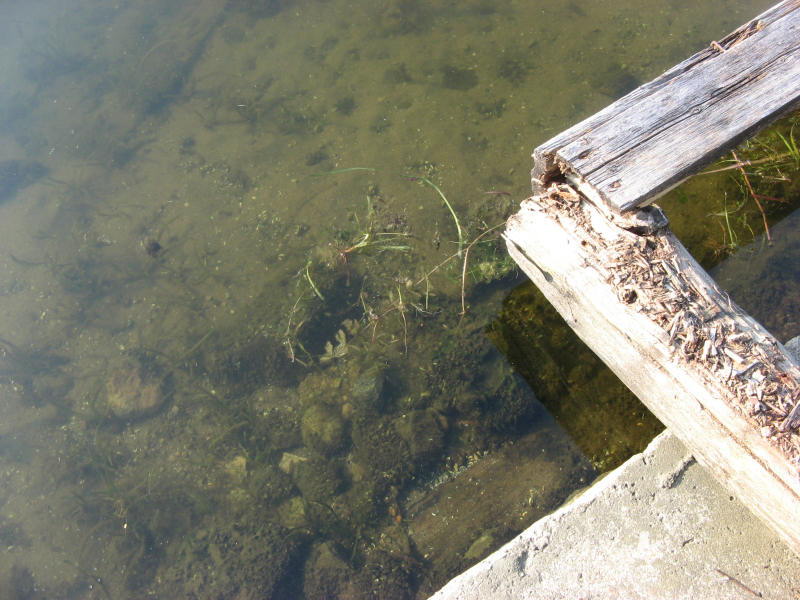 2007 07 26 Into Shallow Water