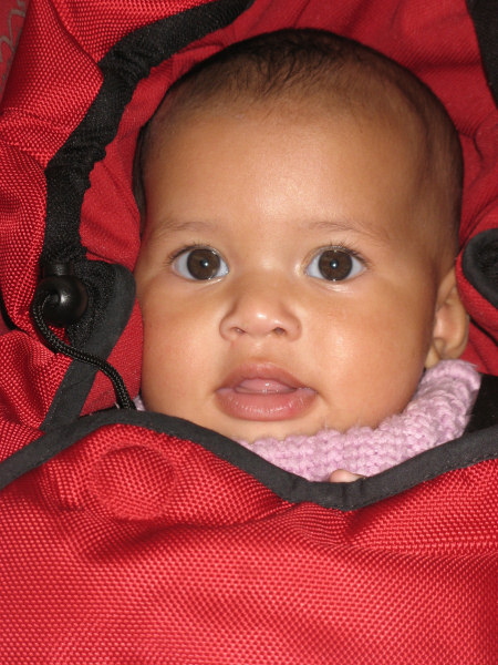2007 10 29 Big Brown Eyes