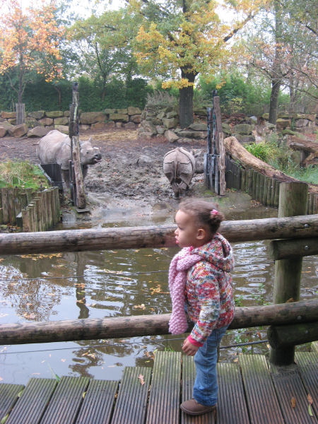 2007 10 29 We recently went to the Zoo with Oscar, James and Katie. It was a great day. I think our favorite animals were the sea lions and seals. We watched them for quite a long time. Here, Ruby views the Rhinos.