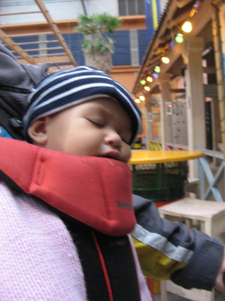 2007 10 29 Sleeping through the Zoo