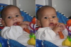 2007 11 22 Harper with a Carrot Diptych