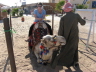 2008 01 07 We went on a Camel Ride in the desert. Mounting Up
