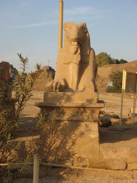 2008 01 08 Amon Ra as Ram