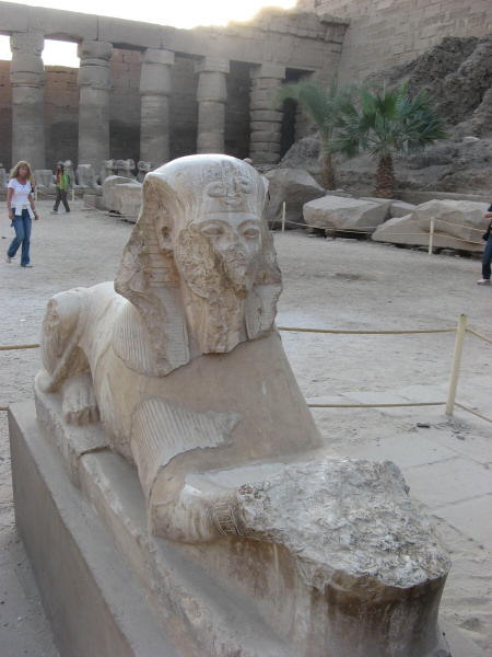 2008 01 08 Amon Ra as Wise Lion