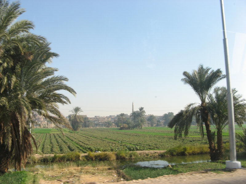 2008 01 08 Roadside Scenery
