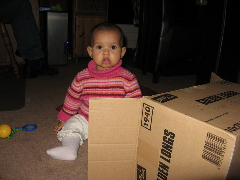 2008 01 12 Harper and her Box.  Merry Christmas Harper Baby!