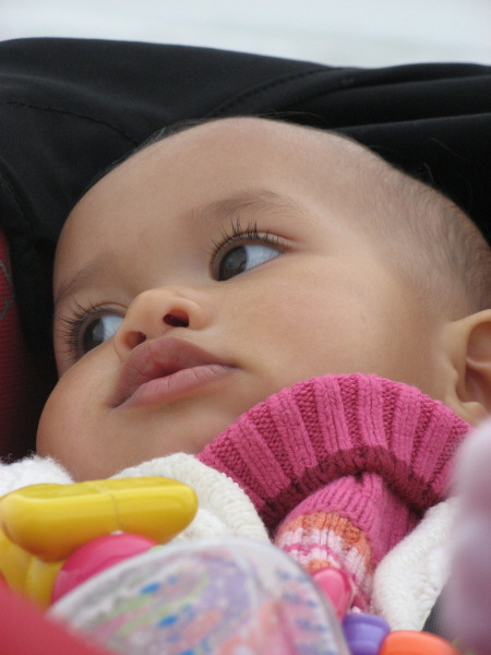 2008 02 28 Harper Gazing Out to Sea