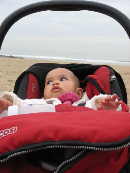 2008 02 28 Harper On the Beach