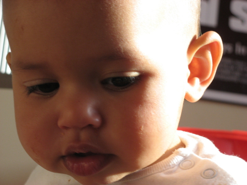 2008 03 04 Harper in the Light