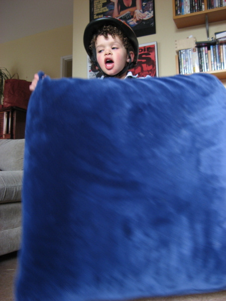 2008 03 04 Ruby and the Cushion