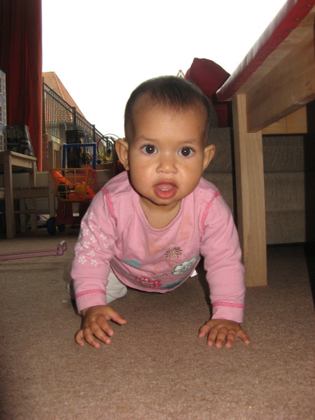 2008 04 04 Harper on the Move