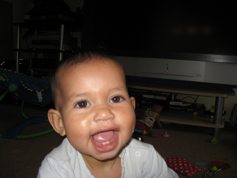 2008 04 05 Harper's Great Grin