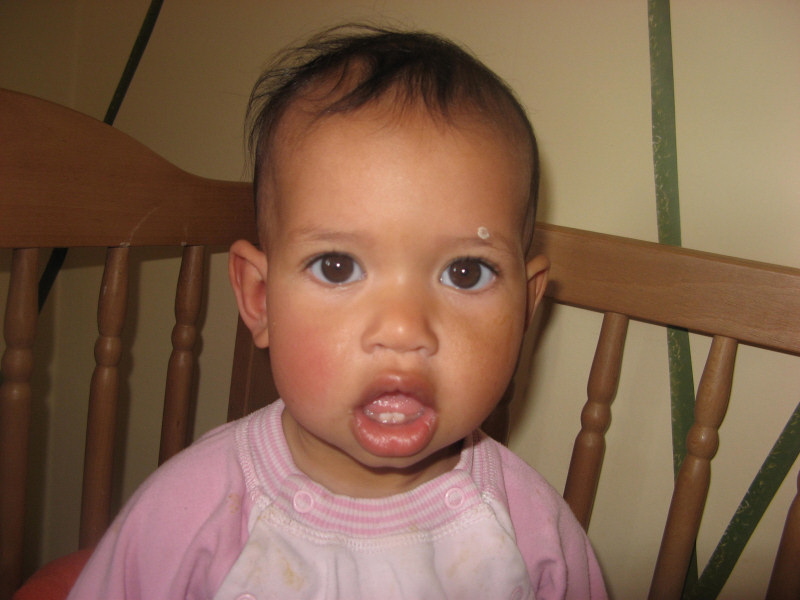 2008 04 26 Morning Face Harper