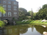 2008 05 07 Hortus Botanicus