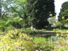 2008 05 07 Hortus Neoma, Ajax and Ruby Explore the Pond