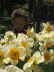 2008 05 07 Ruby among the Narcisuss