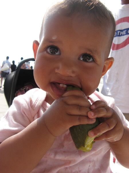 2008 05 12 Harper and a Beach Pickle