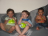 2008 06 09 Ajax, Ruby and Harper Enjoying the Apple Chips