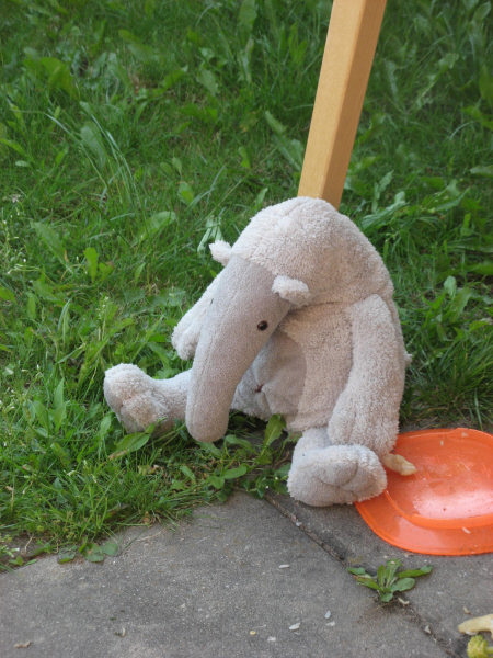 2008 06 09 Harper's B-day Bob the anteater