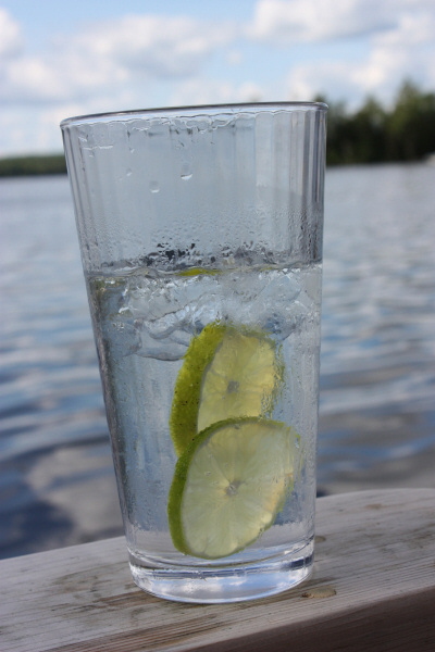 2008 07 29 Frosty Beverage