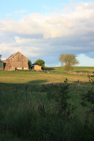 2008 08 01 Farm