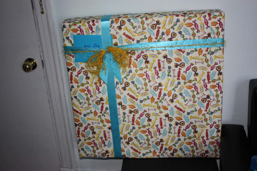 2008 08 15 Nina's Bday Gift