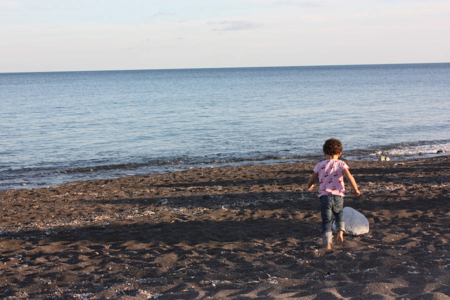 2008 10 08 Ruby Running on the Beach