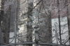 2009 01 08 Dom Fence Detail