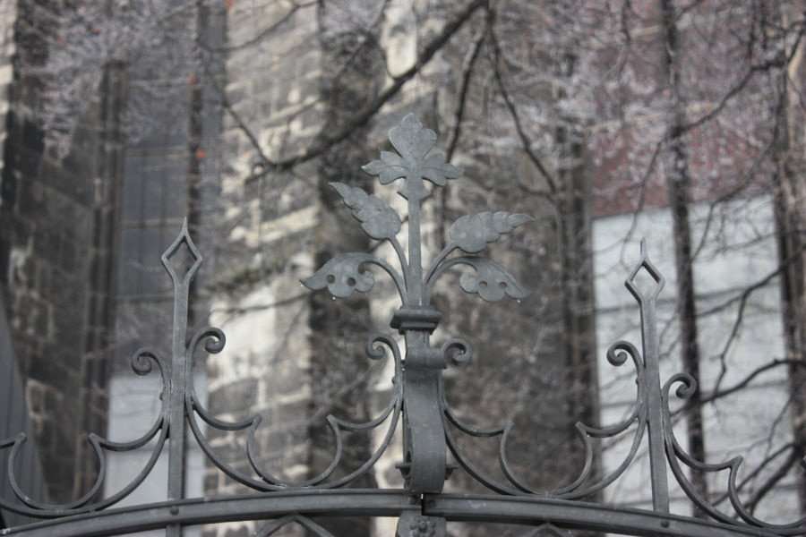 2009 01 08 Dom Fence Detail
