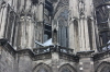 2009 01 08 Dom Wall