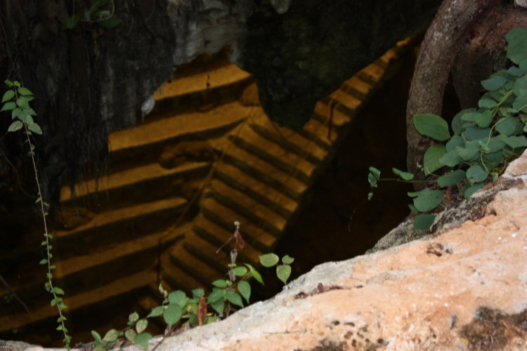 2009 01 14 Into the Cenote as Seen From Above