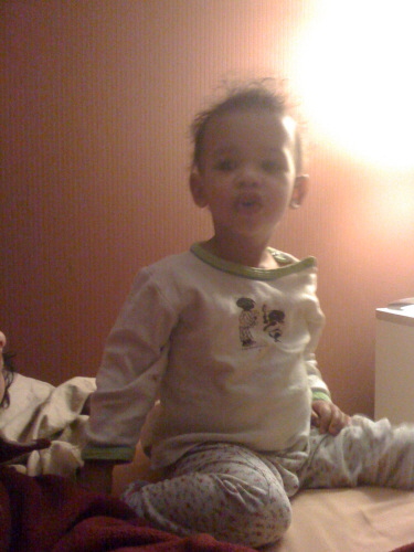 2009 02 14 Harper Whistles