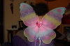 2009 02 17 Fairy Wings