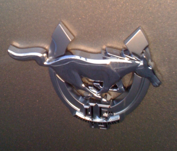 Forty-Fifth Anniversary Mustang on Sale at Chievres 2