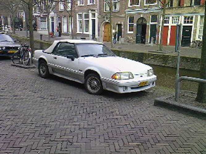 Fox Body in Leiden