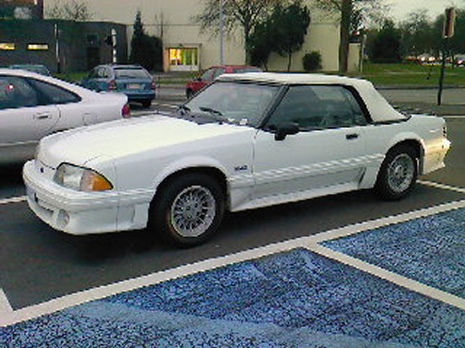 Fox body at S.H.A.P.E.